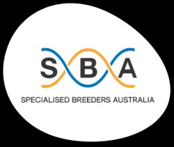 Specialised Breeders Australia (SBA) logo
