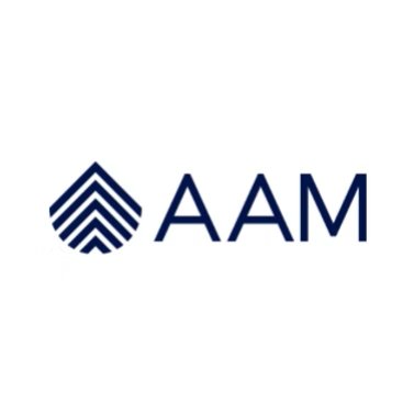 AAM Investment Group Pty Ltd logo