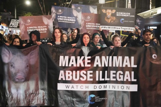 2023 Dominion Animal Rights March - Editorial - Farm Transparency ...