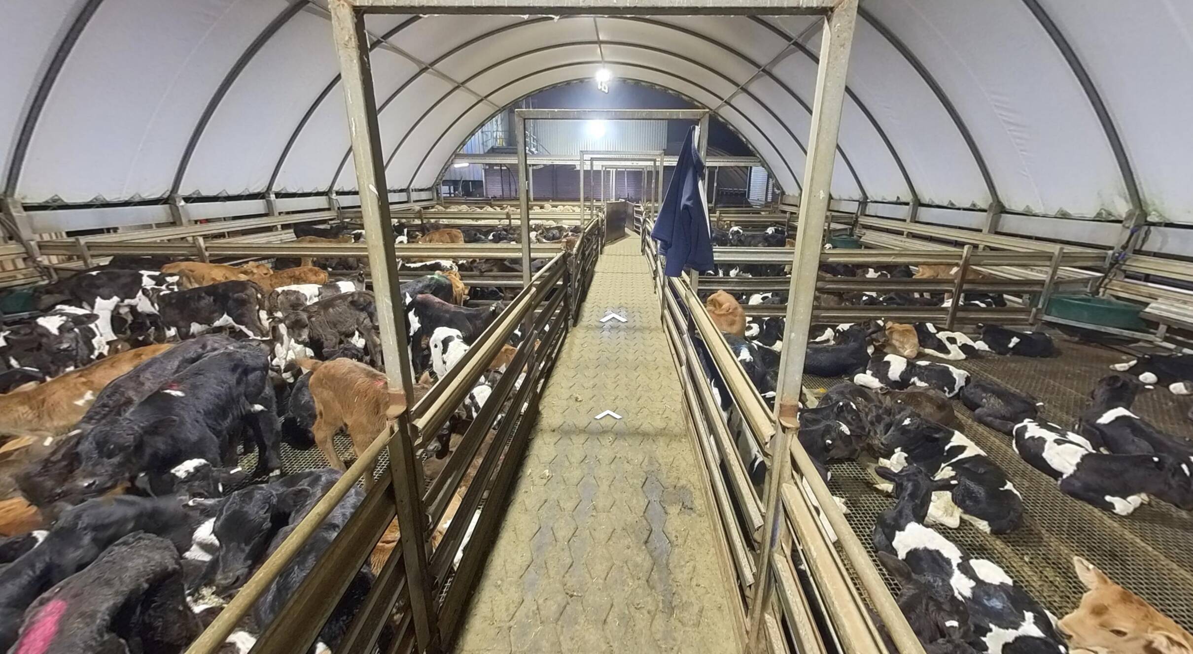 Farm Transparency Project's virtual tours campaign... - News - Farm ...