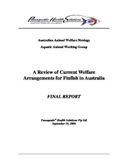 A Review of Current Welfare Arrangements for Finfish in Australia - Australian Animal Welfare Strategy 2006