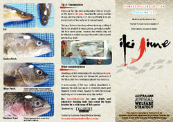 Brochure - Humane Killing of Fish - Freshwater - Iki Jime