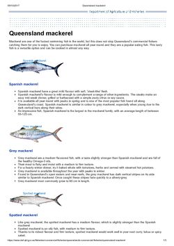 Queensland mackerel - Department of Agriculture and Fisheries