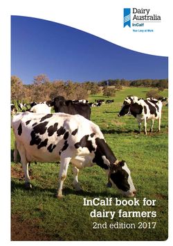 InCalf Dairy Australia