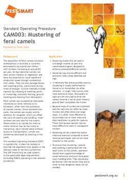 PESTSMART Standard operating procedure for mustering camels