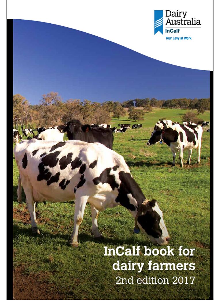 InCalf Dairy Australia