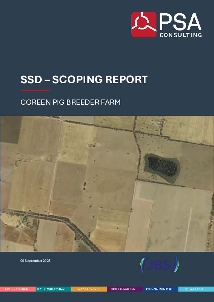 Scoping Report