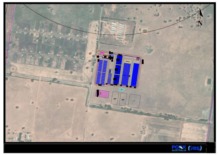 Wongalea - Rennie Pig Breeder and Weaner Farm_Nagles Proposal