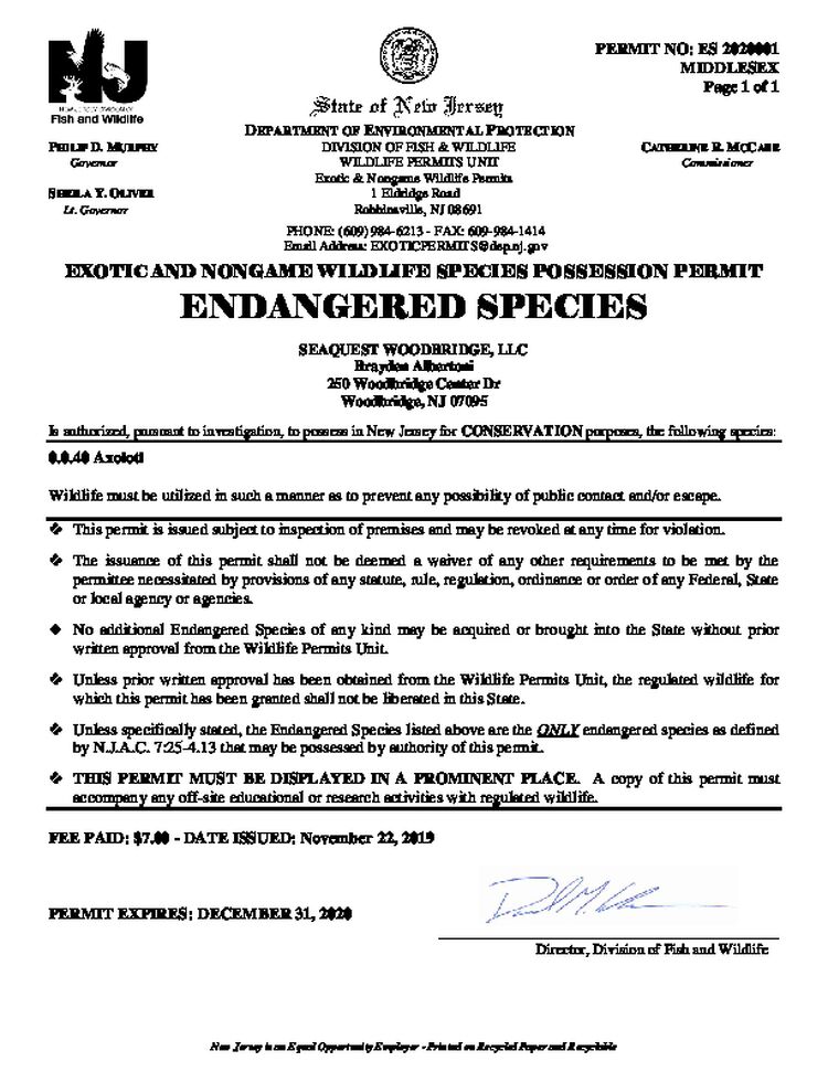 11.22.19 NJFW Endangered Species Permit (ES-2020001)