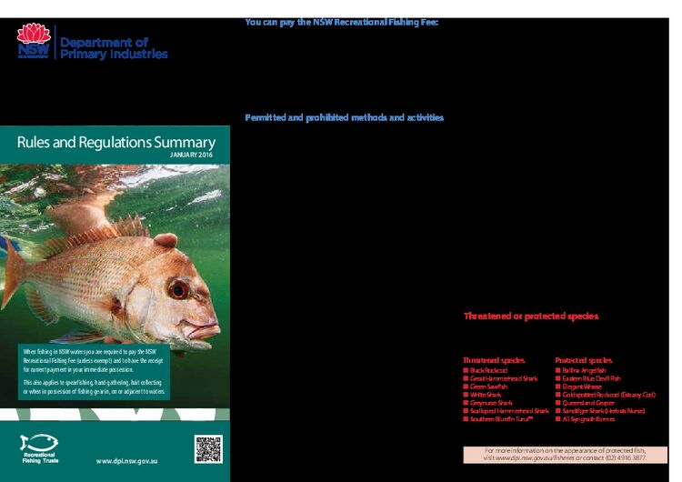 NSW Saltwater recreational fishing rules and regulations summary