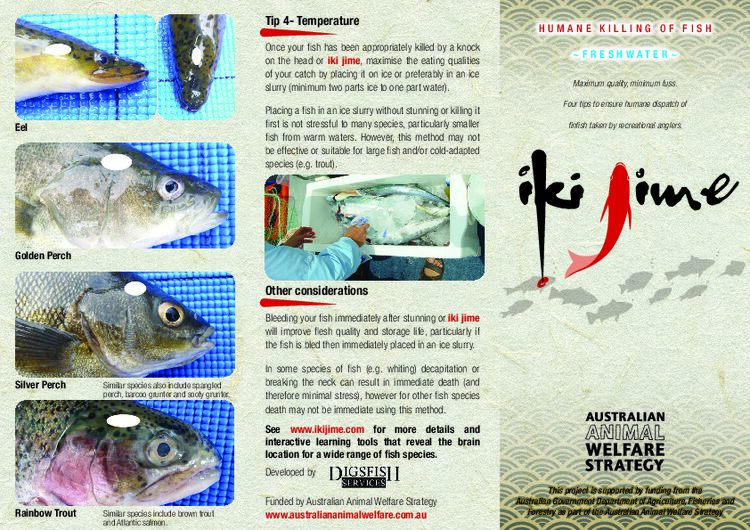 Brochure - Humane Killing of Fish - Freshwater - Iki Jime