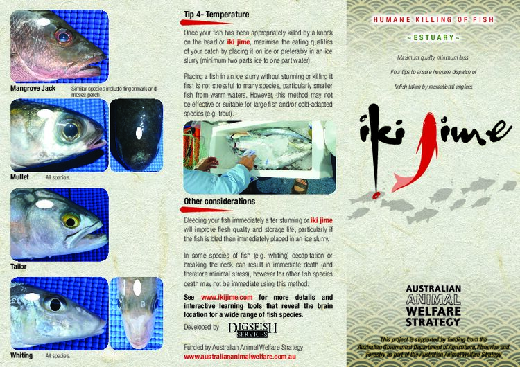 Brochure - Humane Killing of Fish - Estuary - Iki Jime