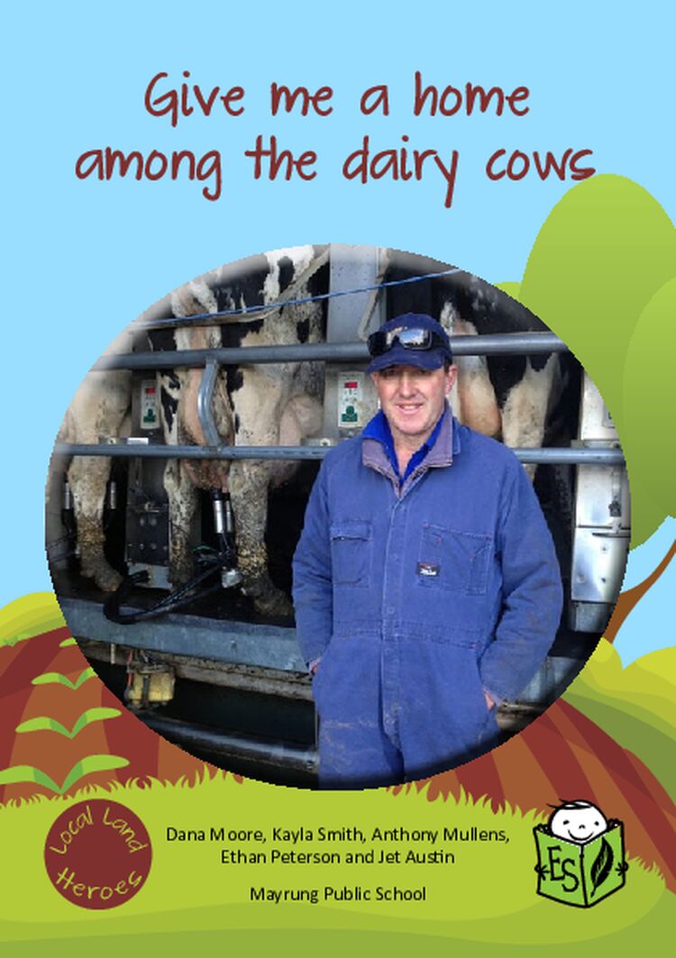 2014049HomeDairyCows