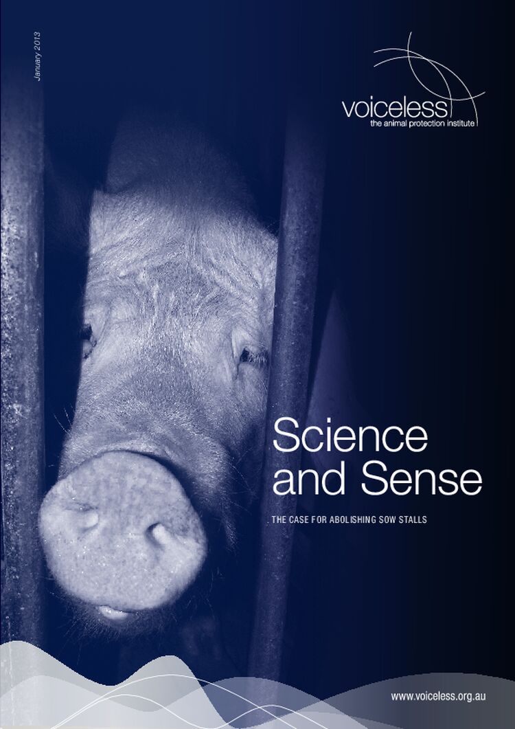 Science and Sense: The case for abolishing sow stalls