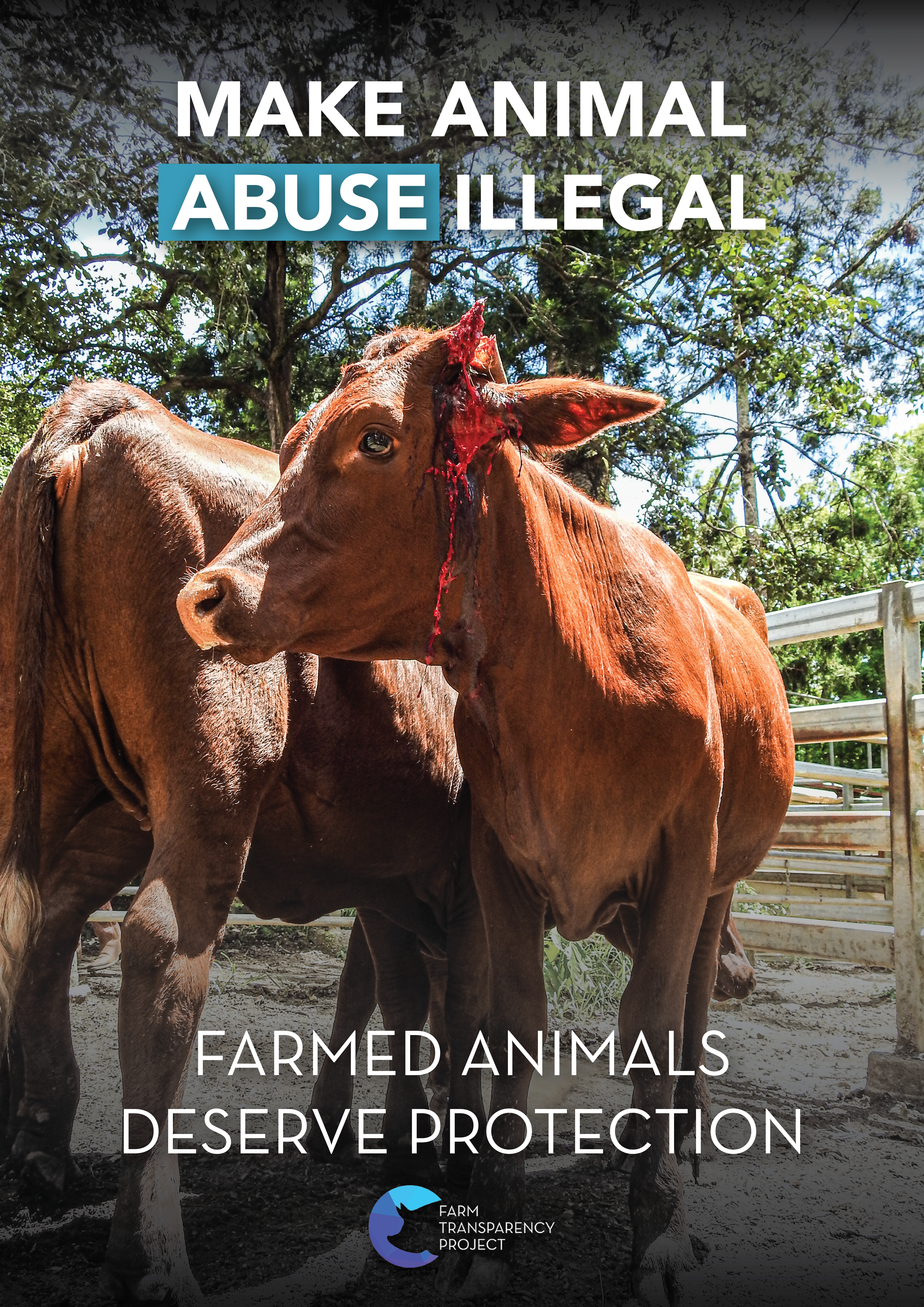 Make Animal Abuse Illegal (Cow) Poster Design