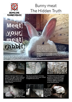 DTRH_Leaflet 1 Meat