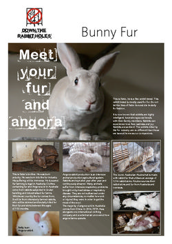 DTRH_Leaflet 2 Fur