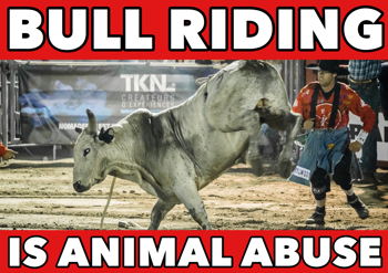 Bull Riding is Animal Abuse poster