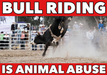 Bull Riding is Animal Abuse poster