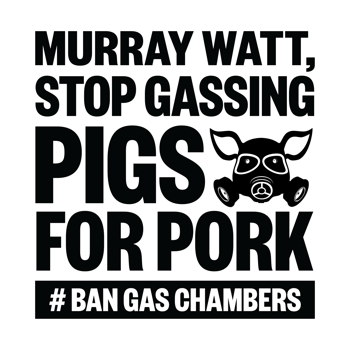 Ban Gas Chambers Social Media Storm (Murray Watt) - Instagram Tile (White)