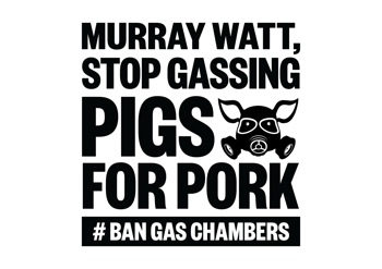 Ban Gas Chambers Social Media Storm (Murray Watt) - A4 Poster (White)
