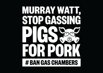 Ban Gas Chambers Social Media Storm (Murray Watt) - A3 Poster (Black)