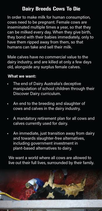 End Dairy Slaughter Leaflet - Page 2
