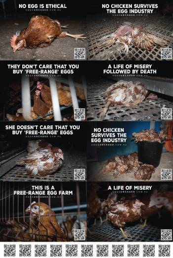 Eggs Uncaged Stickersheet