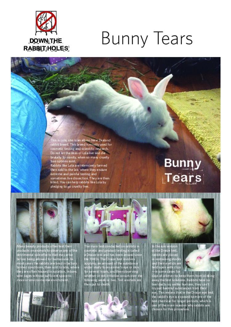 DTRH_Leaflet 5 Testing