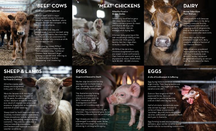 Behind Closed Doors: the Reality of Australian Farming (web)