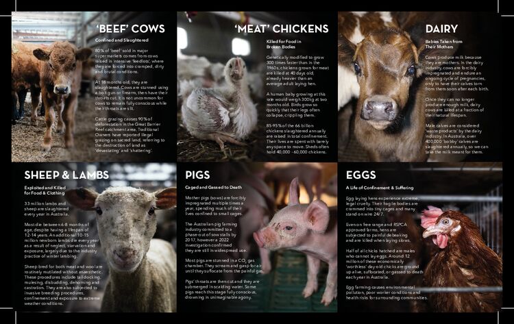 Behind Closed Doors: the Reality of Australian Farming (print)