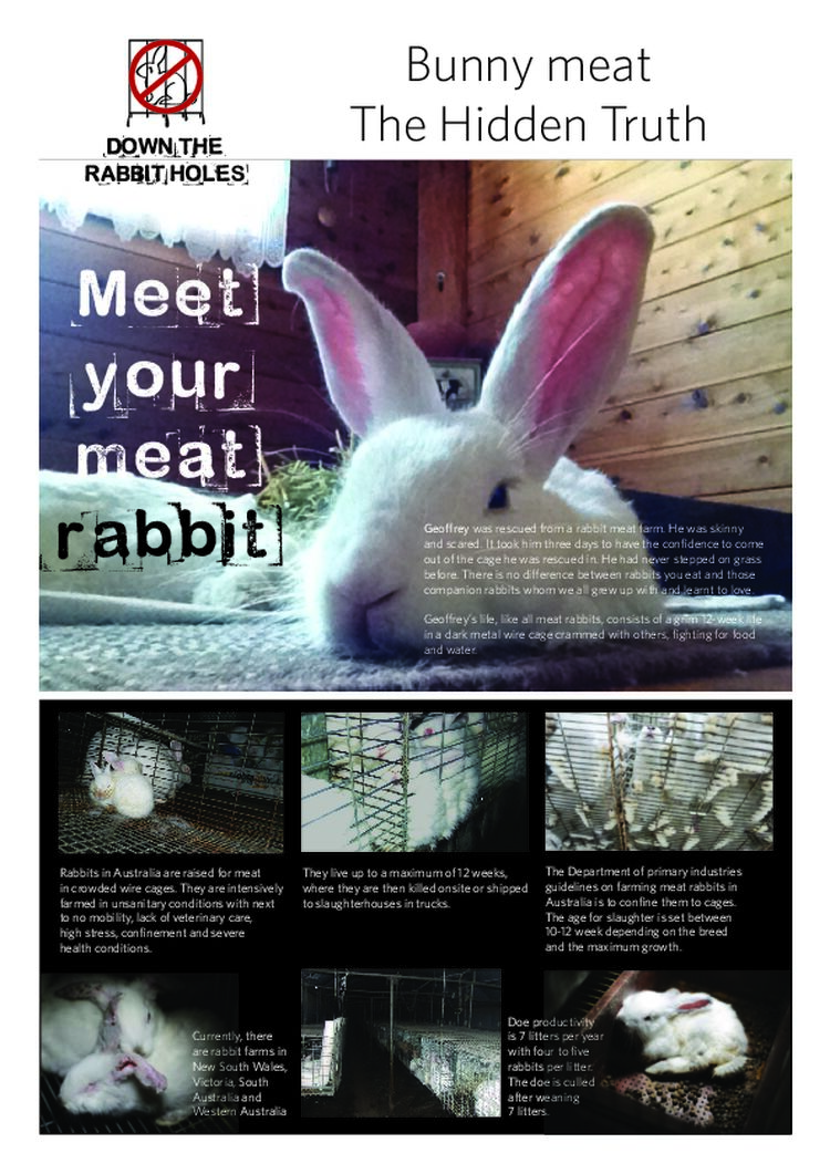 DTRH_Leaflet 1 Meat