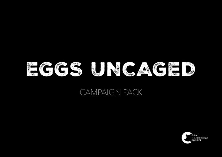 Eggs Uncaged Action Pack