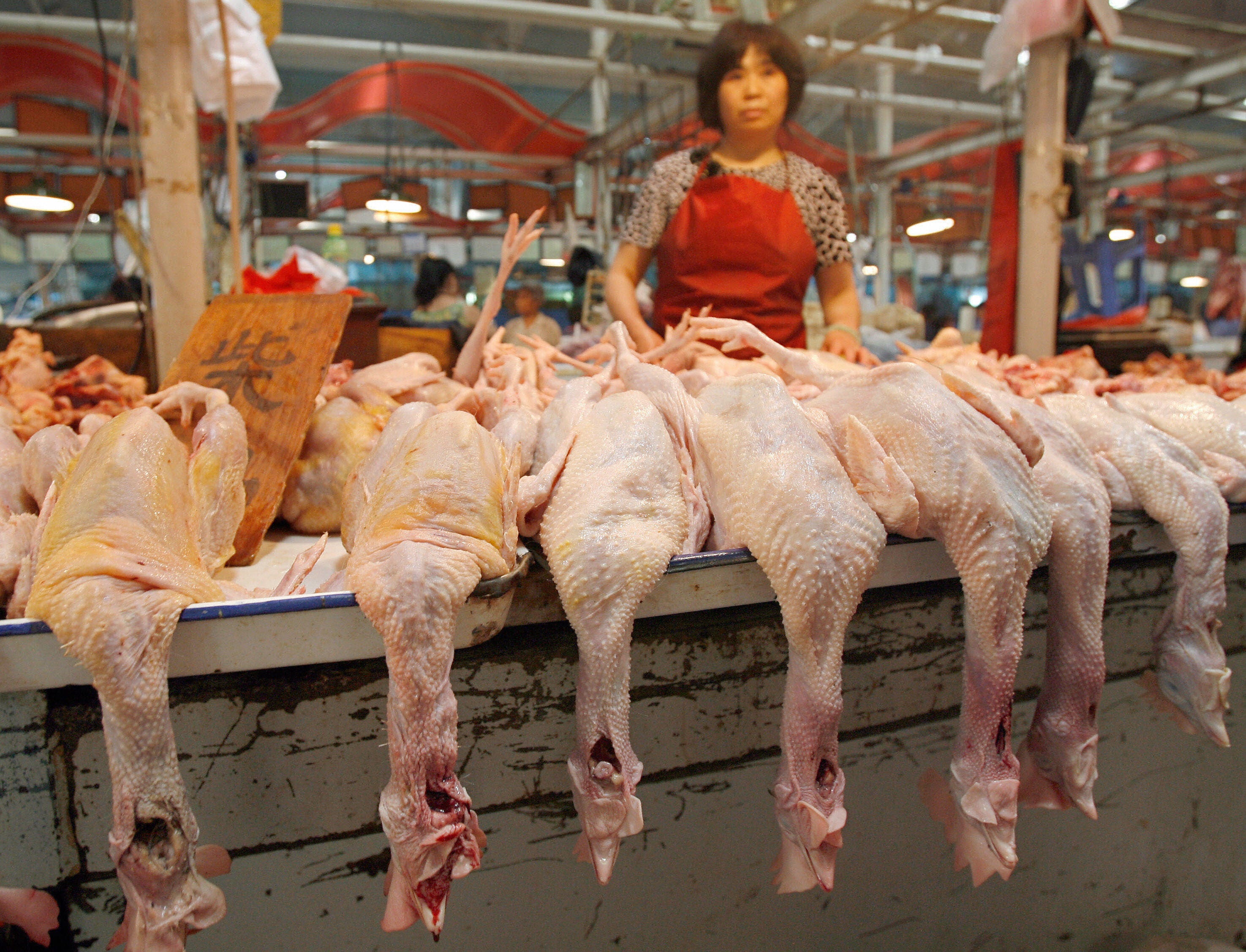 wet market china freshly slaughtered chicken bleeding