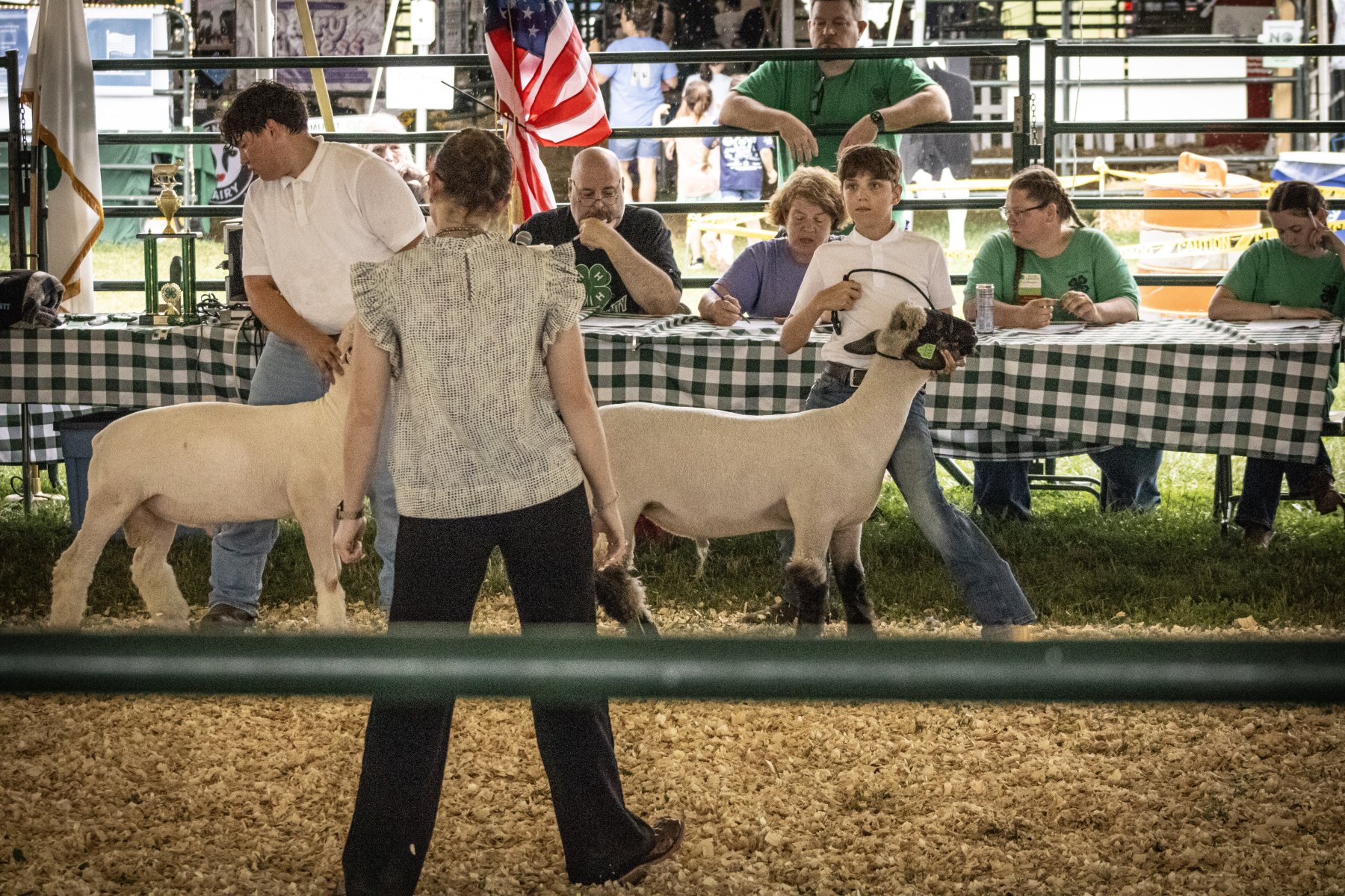 Somerset County 4-H Fair 2026 - Captured at Somerset County Ted Blum 4-H Center, Bridgewater NJ United States.