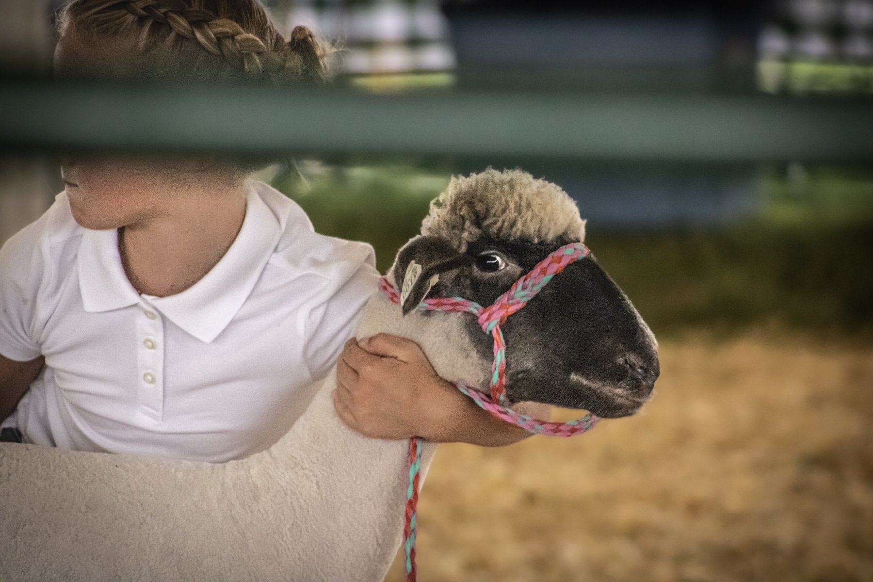 Somerset County 4-H Fair 2026 - Captured at Somerset County Ted Blum 4-H Center, Bridgewater NJ United States.