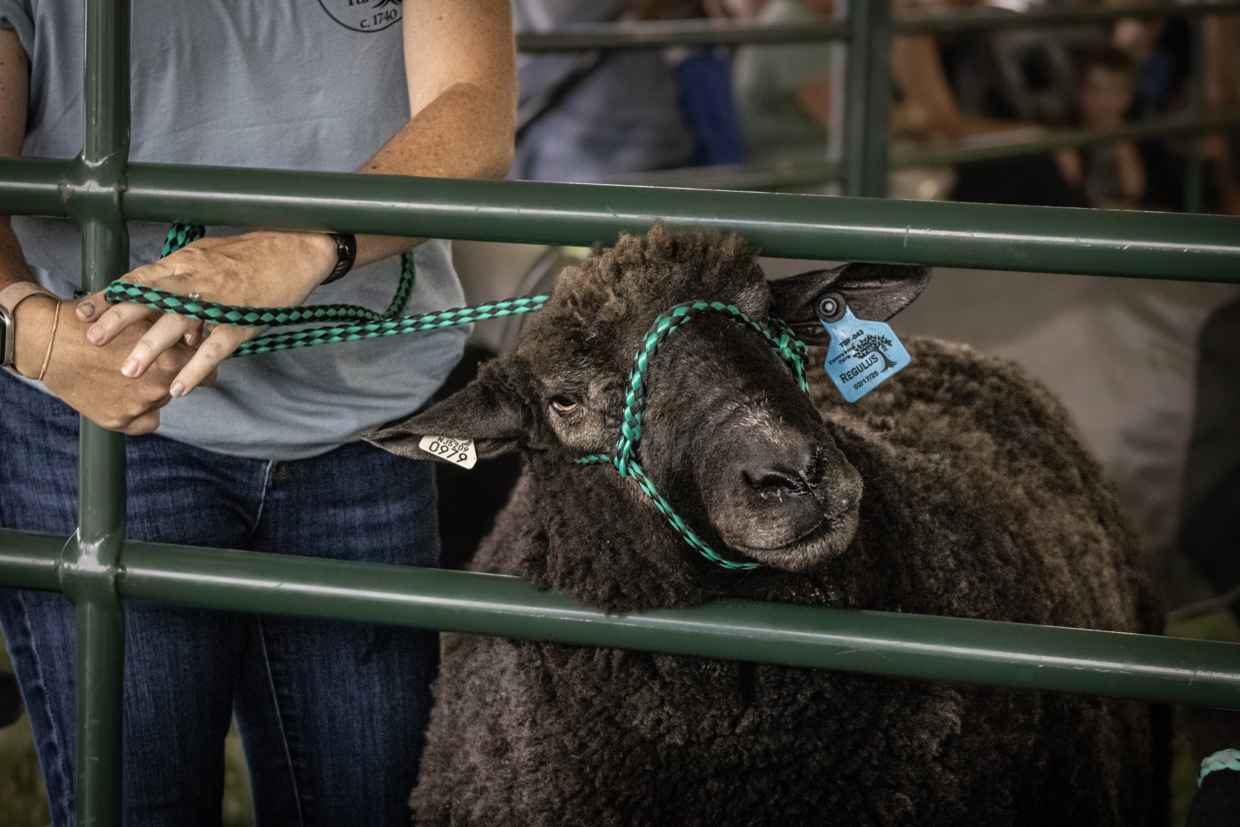Somerset County 4-H Fair 2026 - Captured at Somerset County Ted Blum 4-H Center, Bridgewater NJ United States.