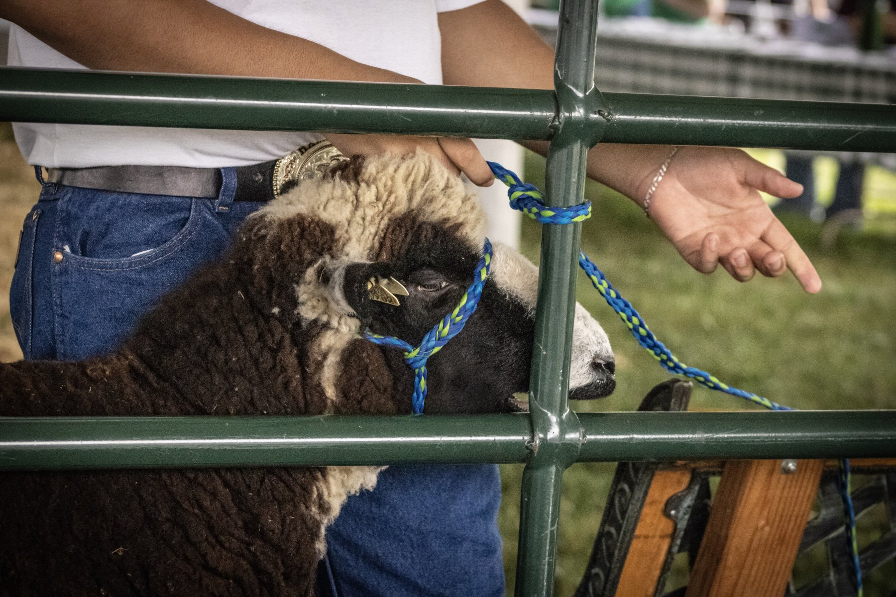 Somerset County 4-H Fair 2026 - Captured at Somerset County Ted Blum 4-H Center, Bridgewater NJ United States.