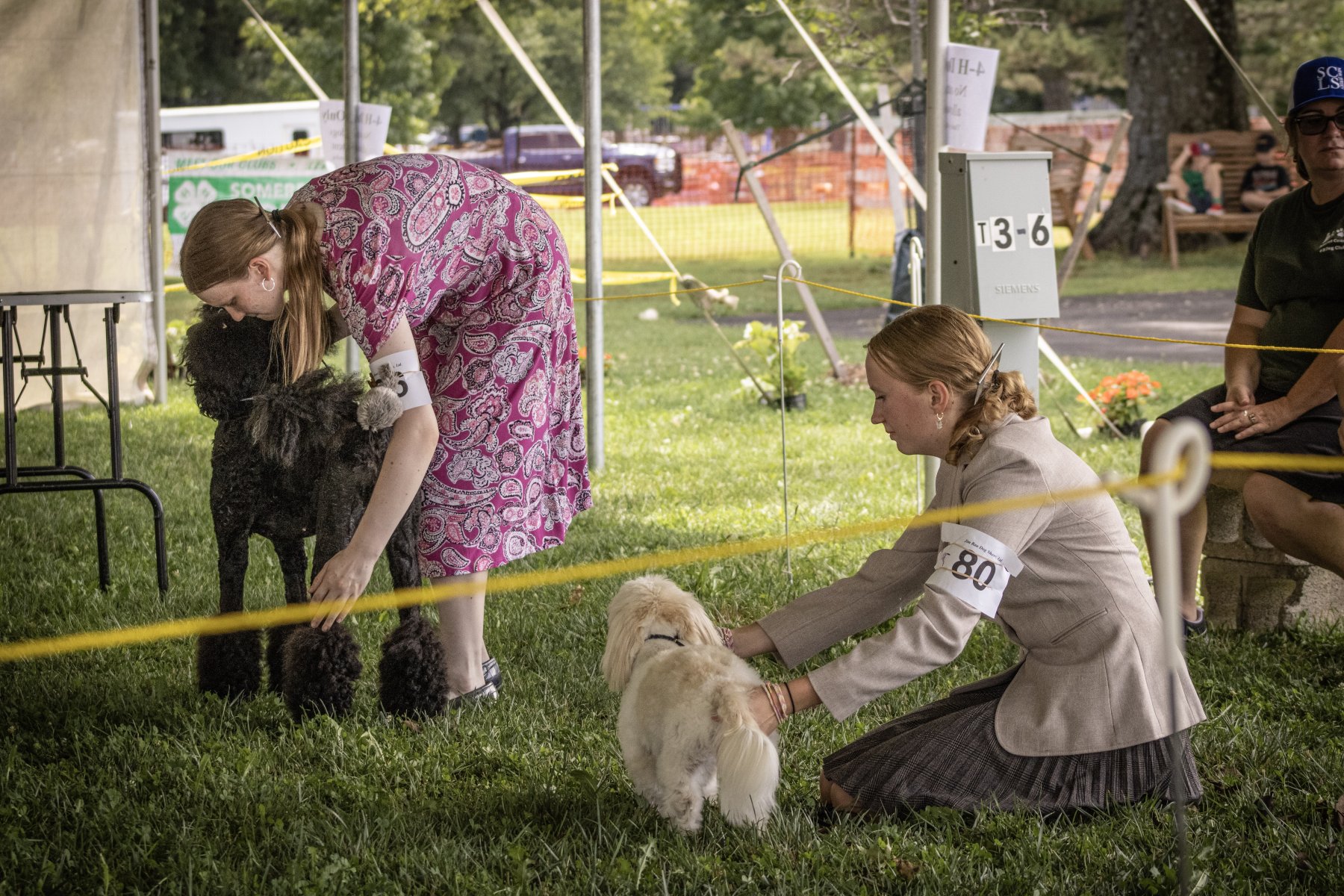 Somerset County 4-H Fair 2026 - Captured at Somerset County Ted Blum 4-H Center, Bridgewater NJ United States.
