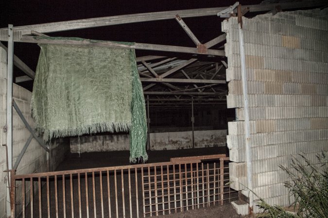 Empty grower shed