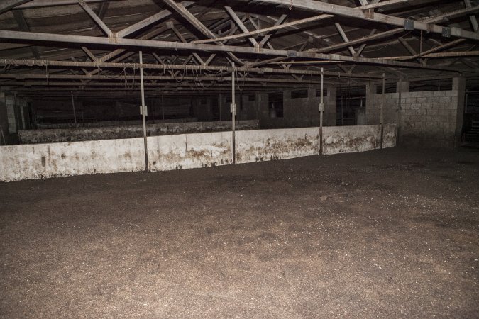 Empty grower shed