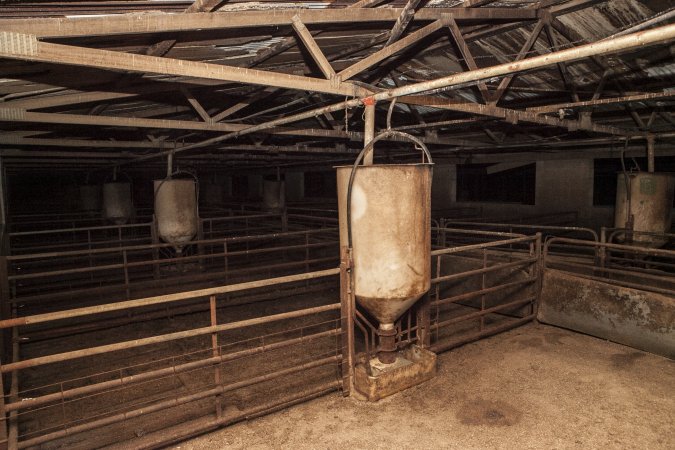 Empty grower shed