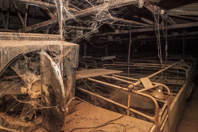 Empty farrowing shed