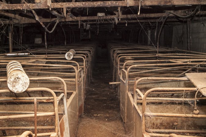Empty farrowing shed