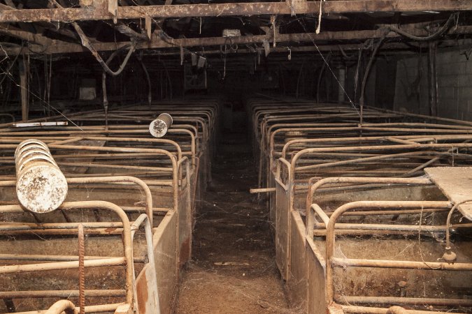 Empty farrowing shed