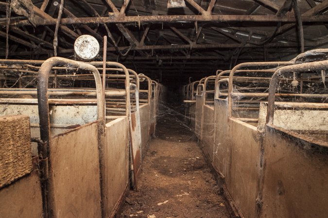 Empty farrowing shed