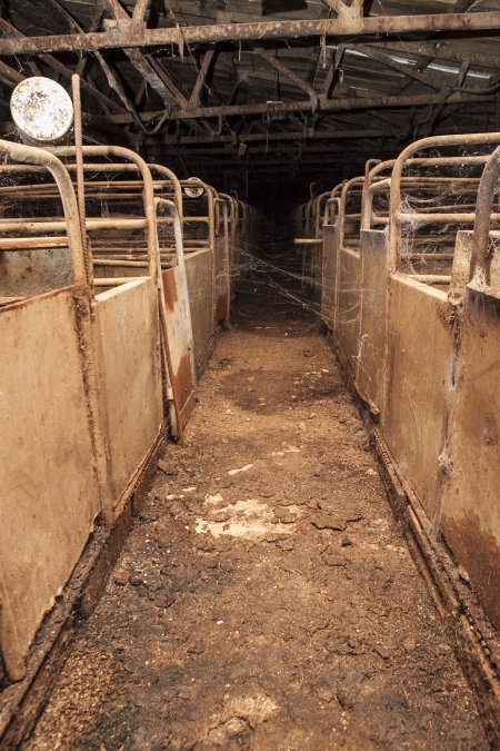 Empty farrowing shed