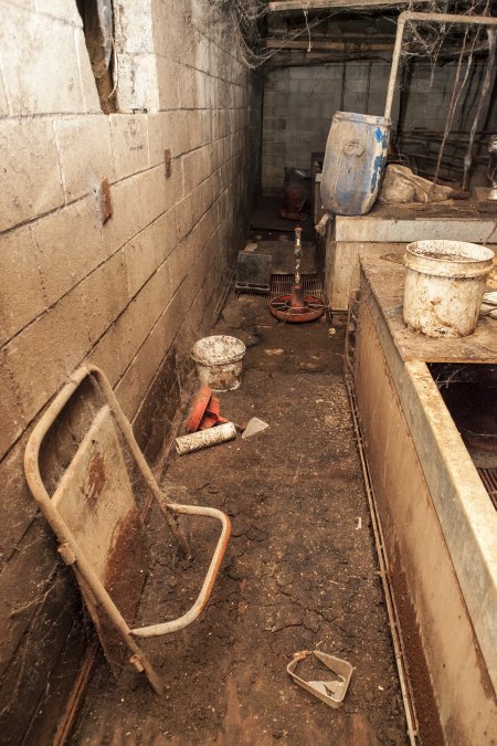 Empty farrowing shed