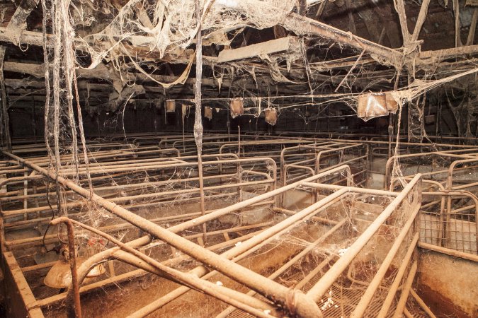 Empty farrowing shed