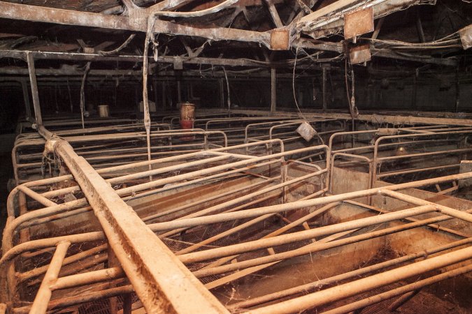 Empty farrowing shed